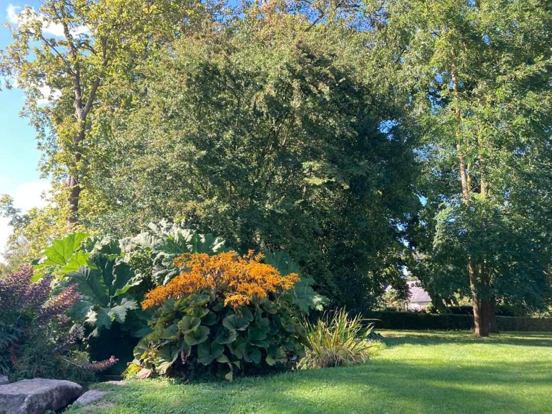Le Du Colombier Vakantiehuis *