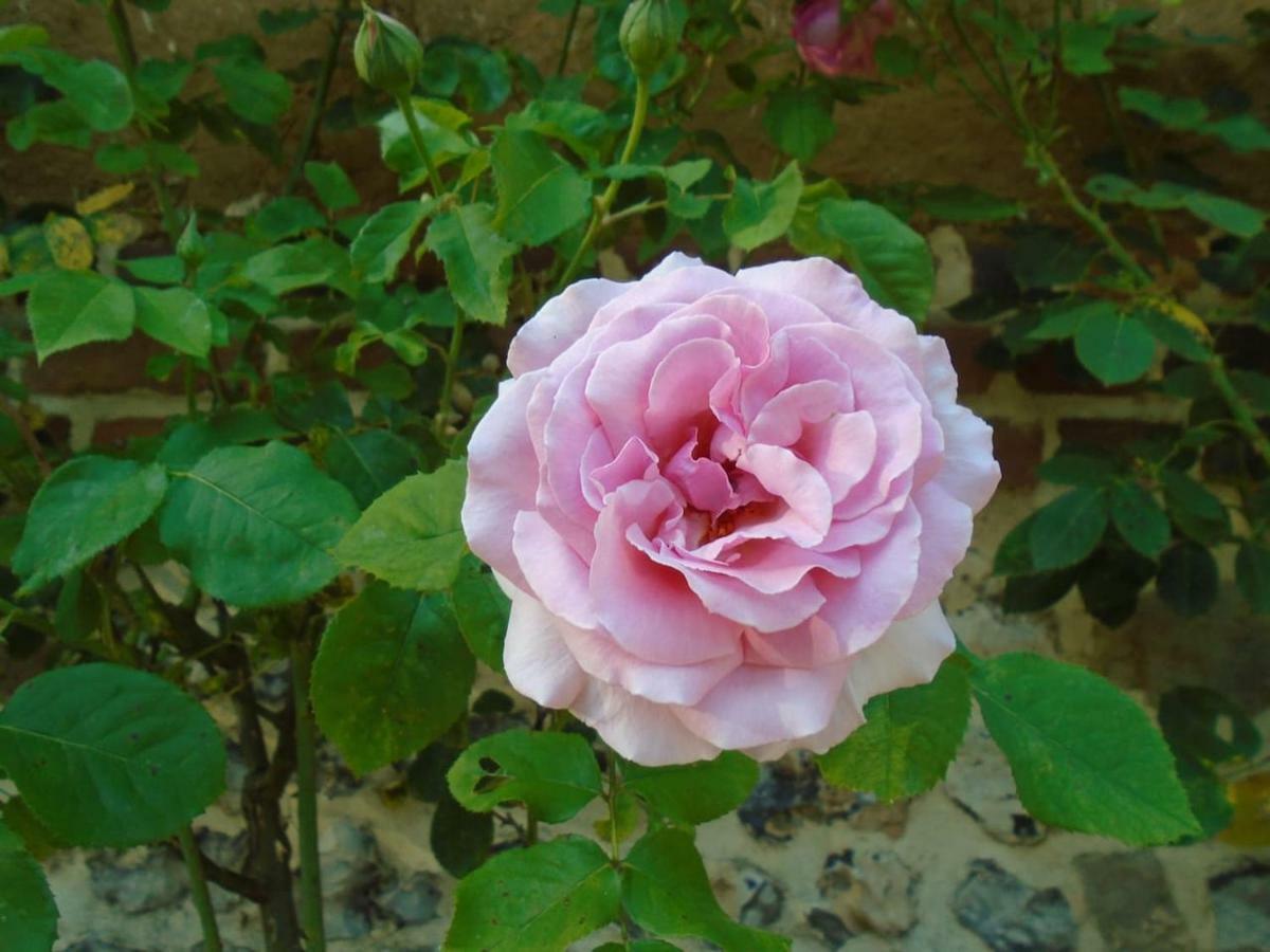 Le Du Colombier